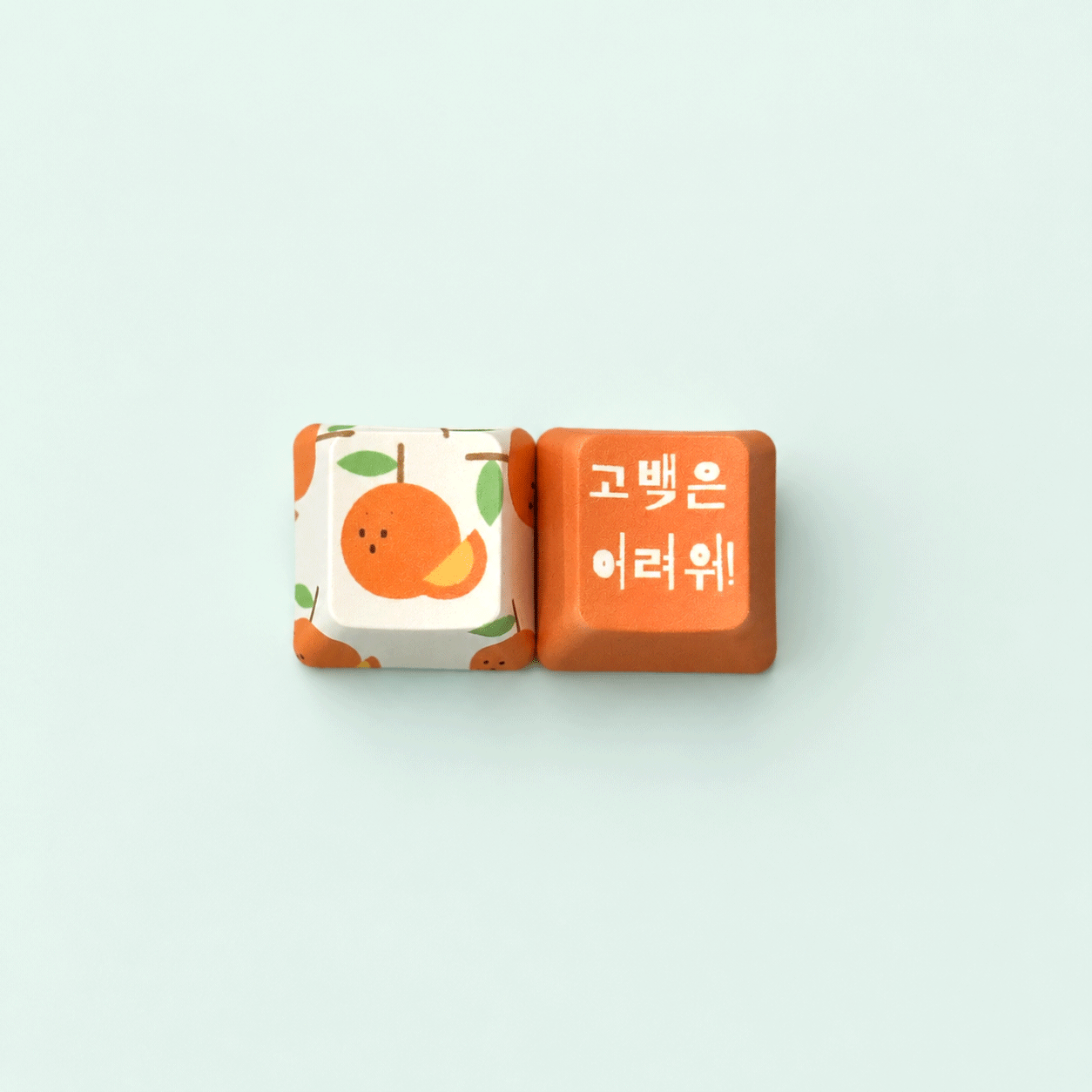 키캡 인쇄 주문제작 굿즈 OEM PBT 커스텀 포인트 키캡 R1 1u 이미지 7