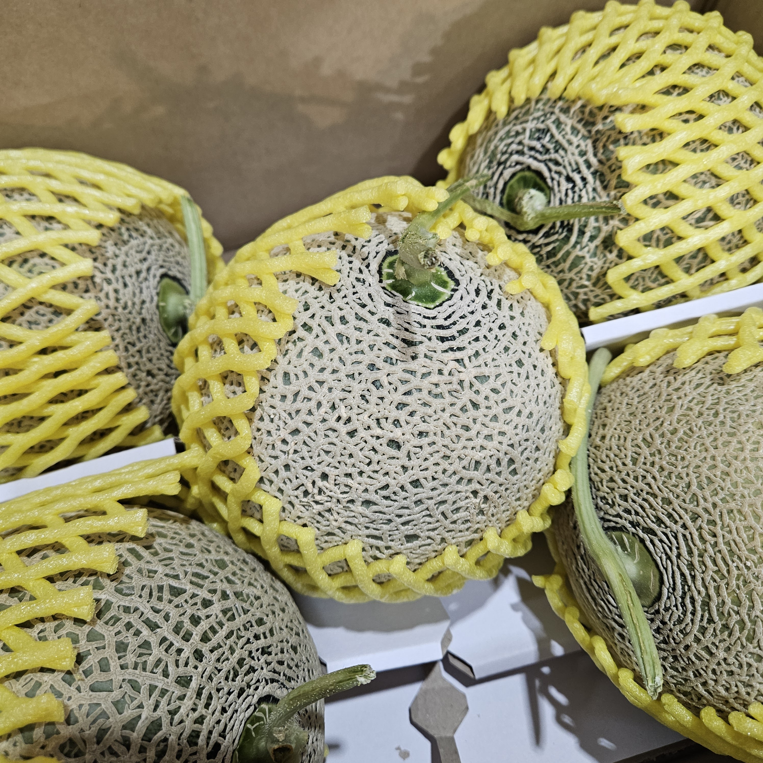 신선마켓 머스크 멜론 1.5kg, 2개 - 상세 이미지 3