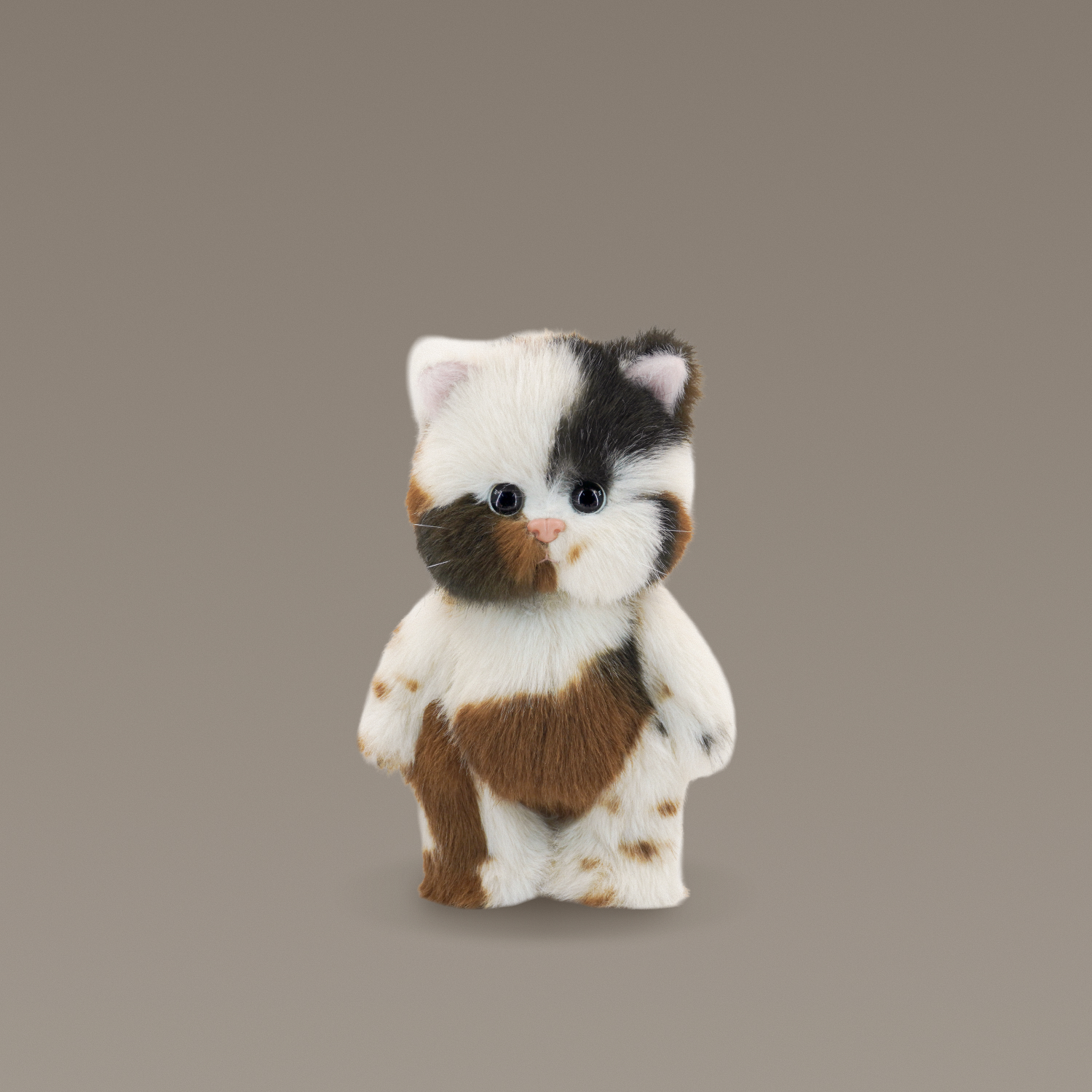 테디테일즈 레나캣 탄냥이 S 검은 고양이 - 상세 이미지 2