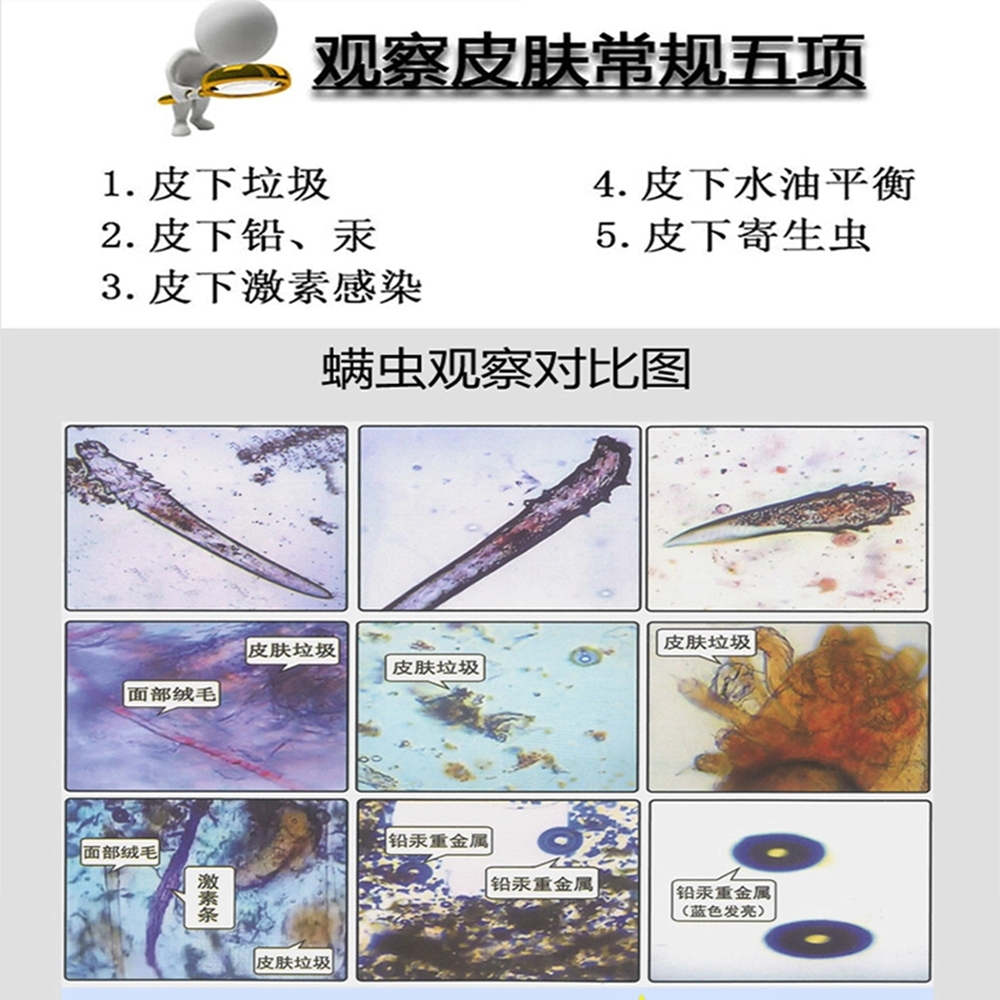 실험실 미생물 현미경 미생물 고배율 광학 관찰 기기 7인치 상품 이미지