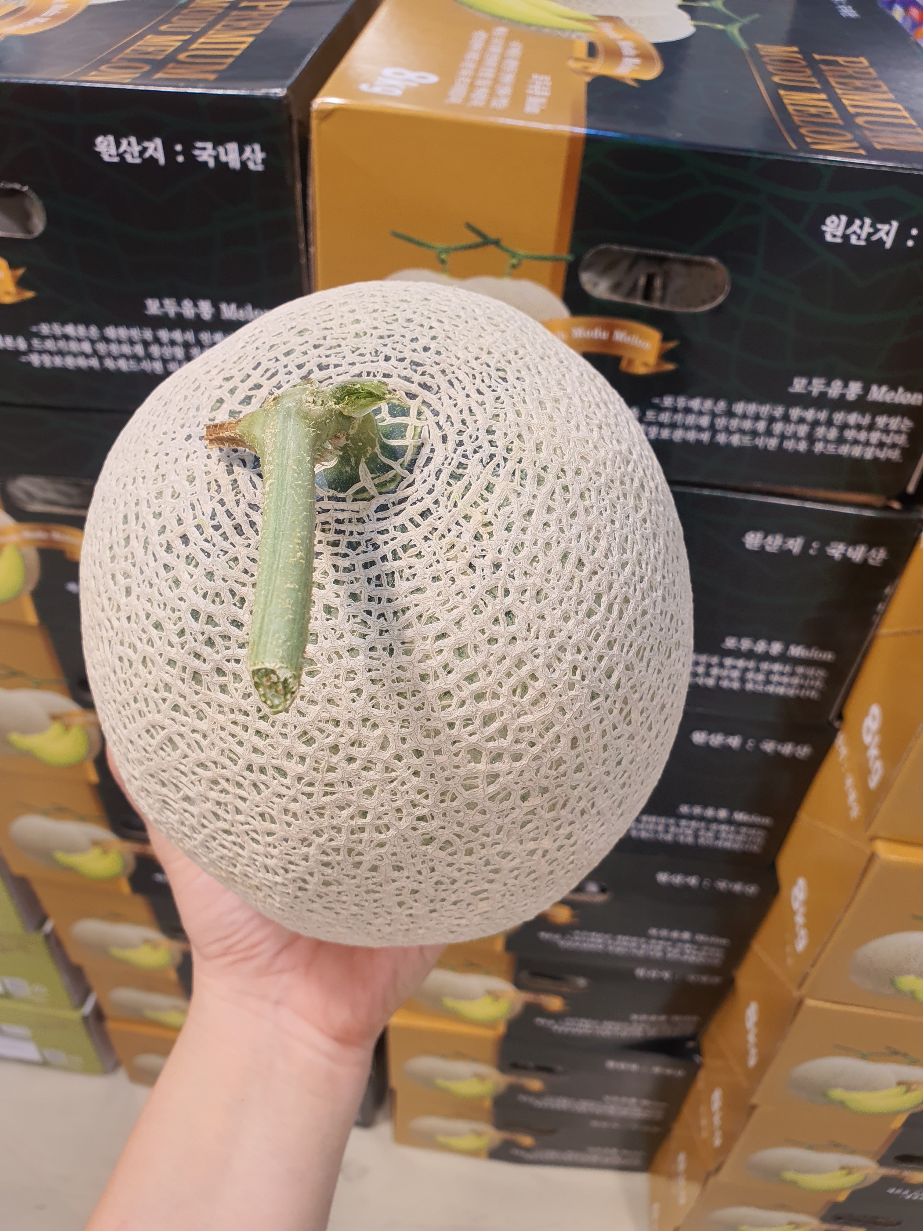 신선마켓 머스크 멜론 1.5kg, 2개 - 상세 이미지 5