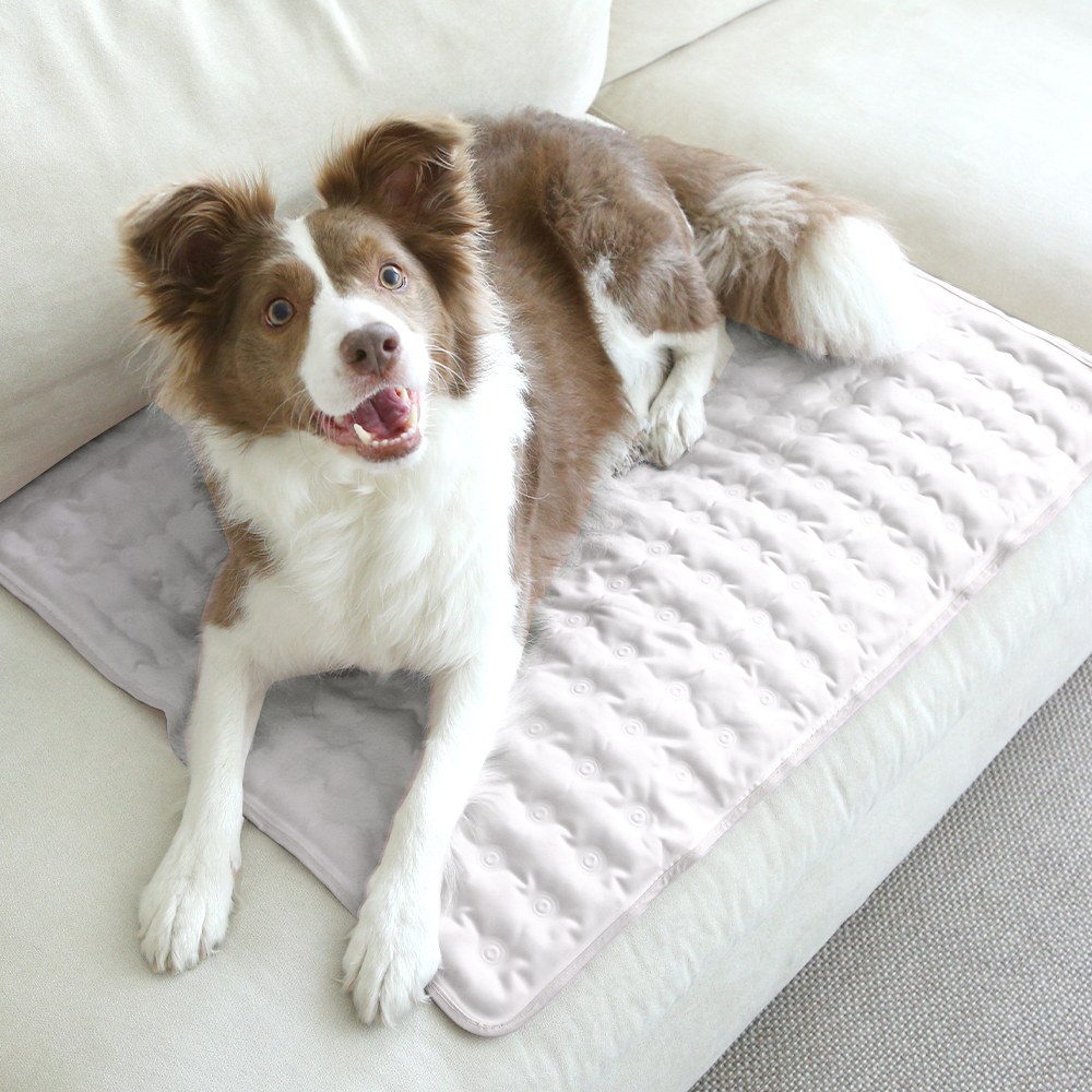 폼포라펫 강아지 쿨매트 냉감패드 고양이 여름방석 애견 유모차 쿨시트 개모차 대형견 - 상세 이미지 2