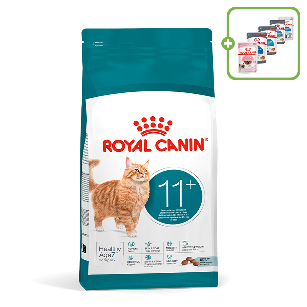 로얄캐닌 고양이사료 에이징11+, 4kg, 1개 - 상품 이미지