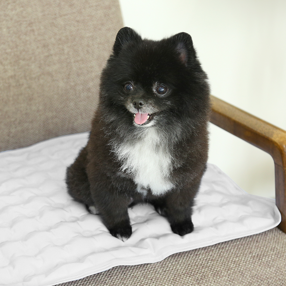 폼포라펫 강아지 쿨매트 냉감패드 고양이 여름방석 애견 유모차 쿨시트 개모차 대형견 - 상세 이미지 3
