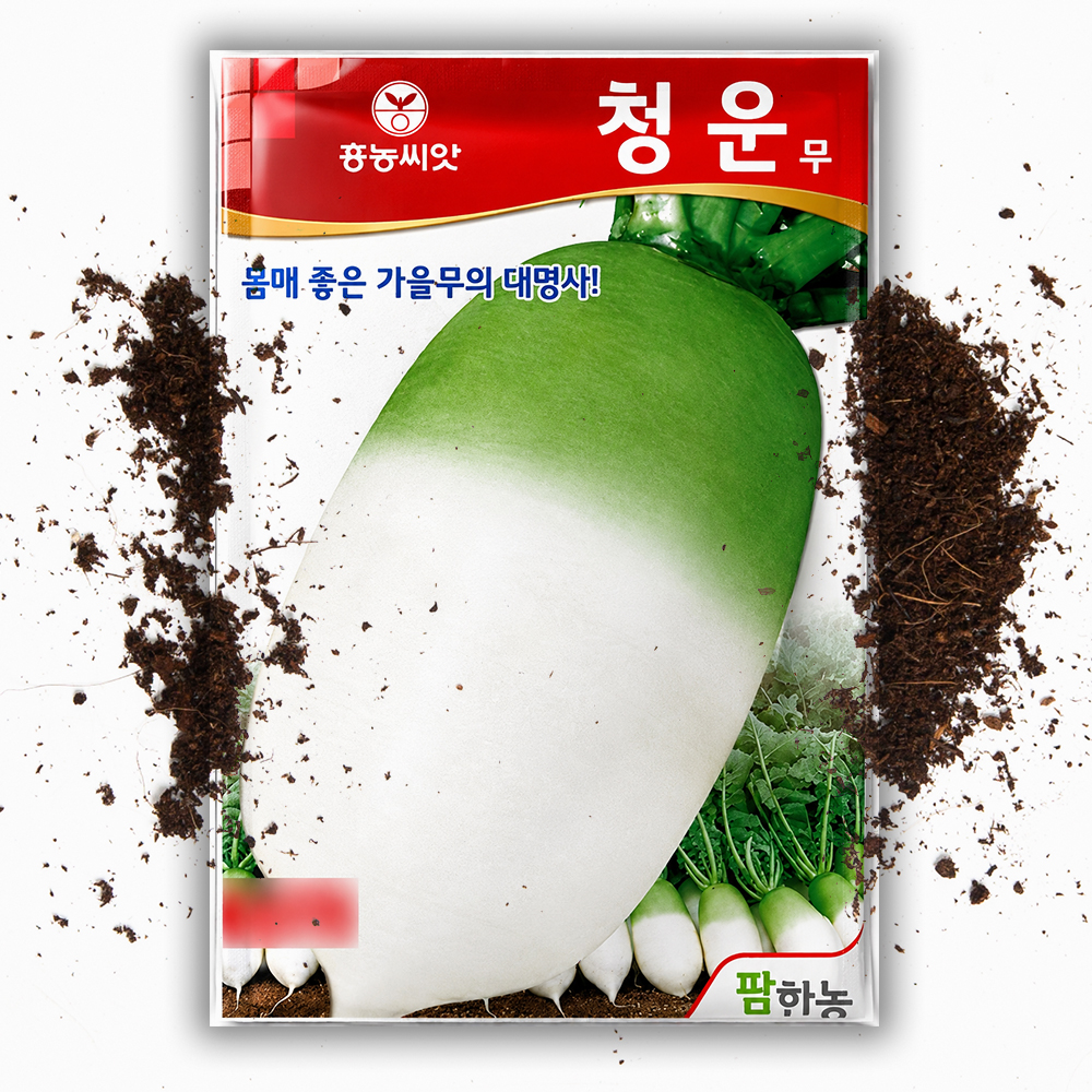 김장 청운 2000립 무씨 무씨앗 무우 - 상품 이미지