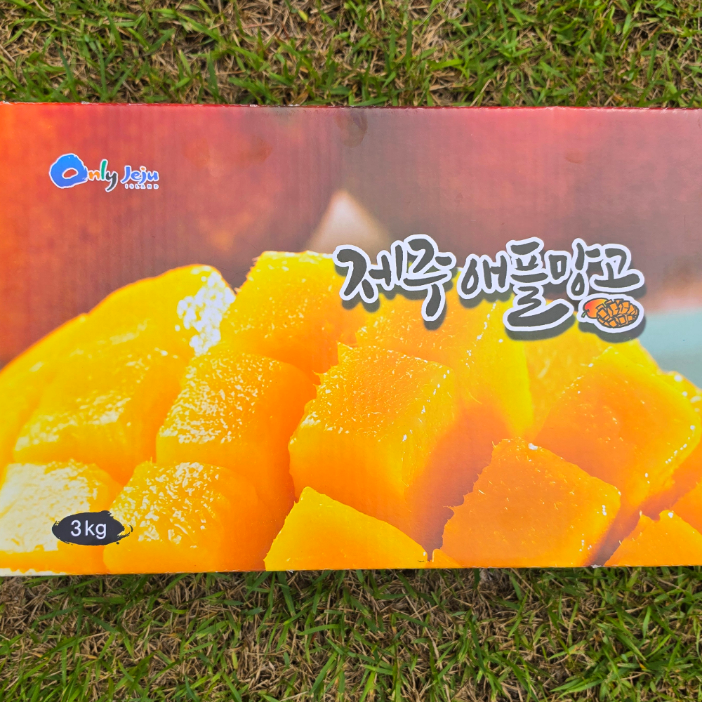 진심먹거리 산지직송 프리미엄 제주애플망고 특상품 3kg 선물세트 선물용 이미지 7
