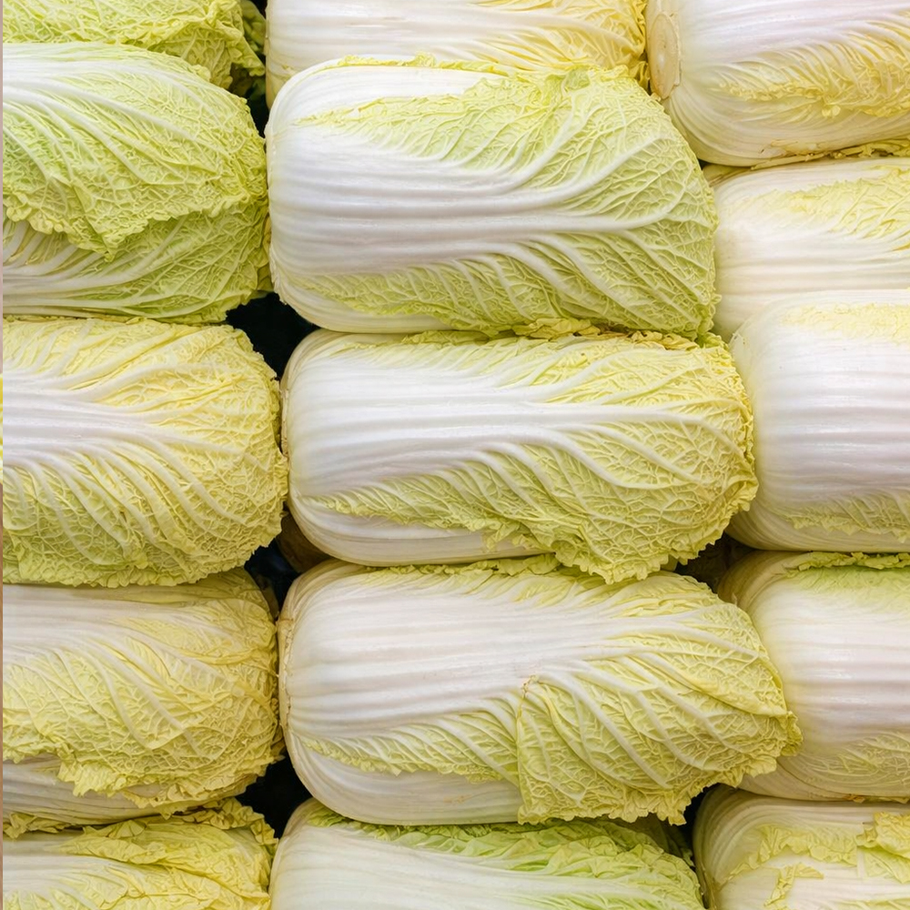 알배추 알배기 쌈배추 단배추 얼갈이 550g, 1개 - 상품 이미지