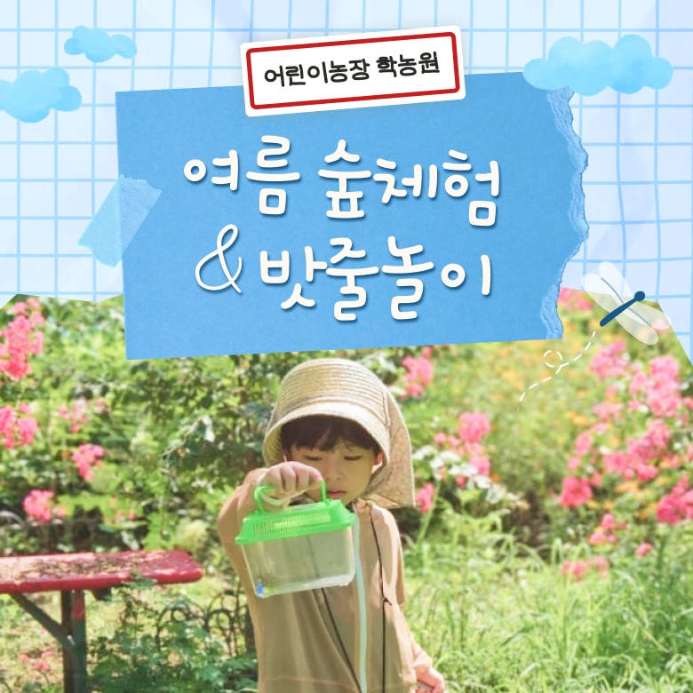 숲체험 밧줄놀이 물놀이 보호자 자유입장 가격 추이 아이고고 숲체험 밧줄놀이 물놀이 보호자 자유입장 - 최저가 50,000원