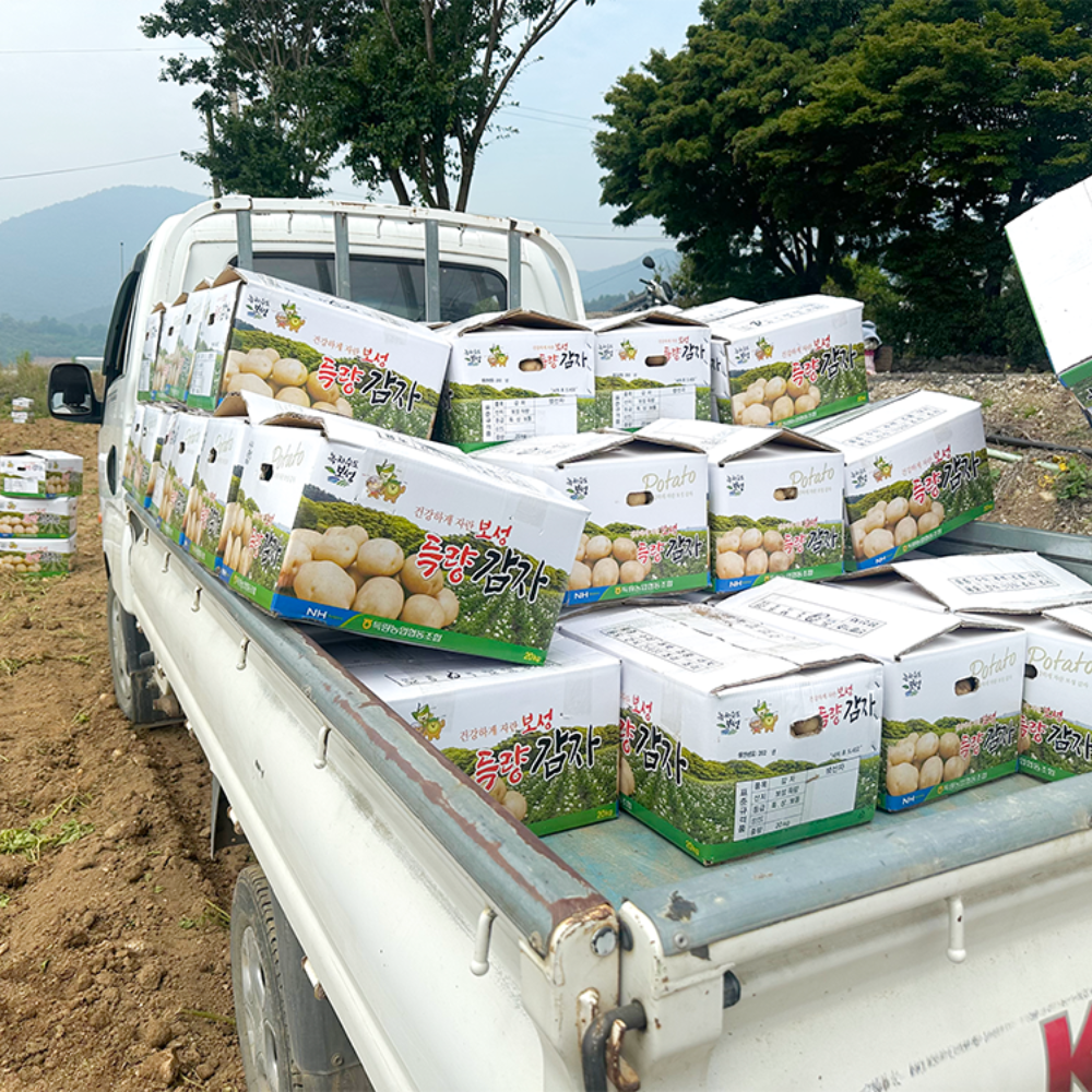 [산지직송] 포슬포슬 햇감자 알감자 수미 감자 찜 요리용 3kg 5kg 10kg - 상세 이미지 4