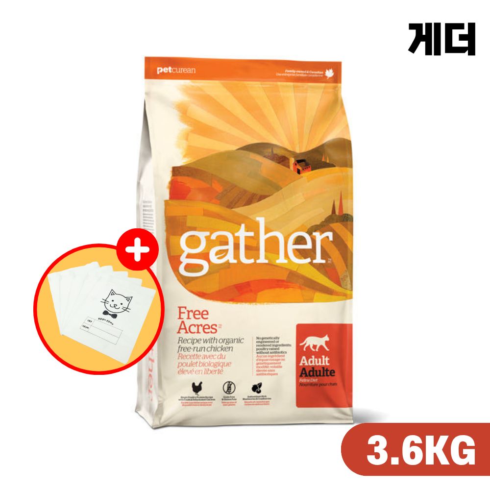 [소분팩증정] 게더 프리 에이커 캣 고양이사료 치킨, 3.63kg, 1개 - 상품 이미지