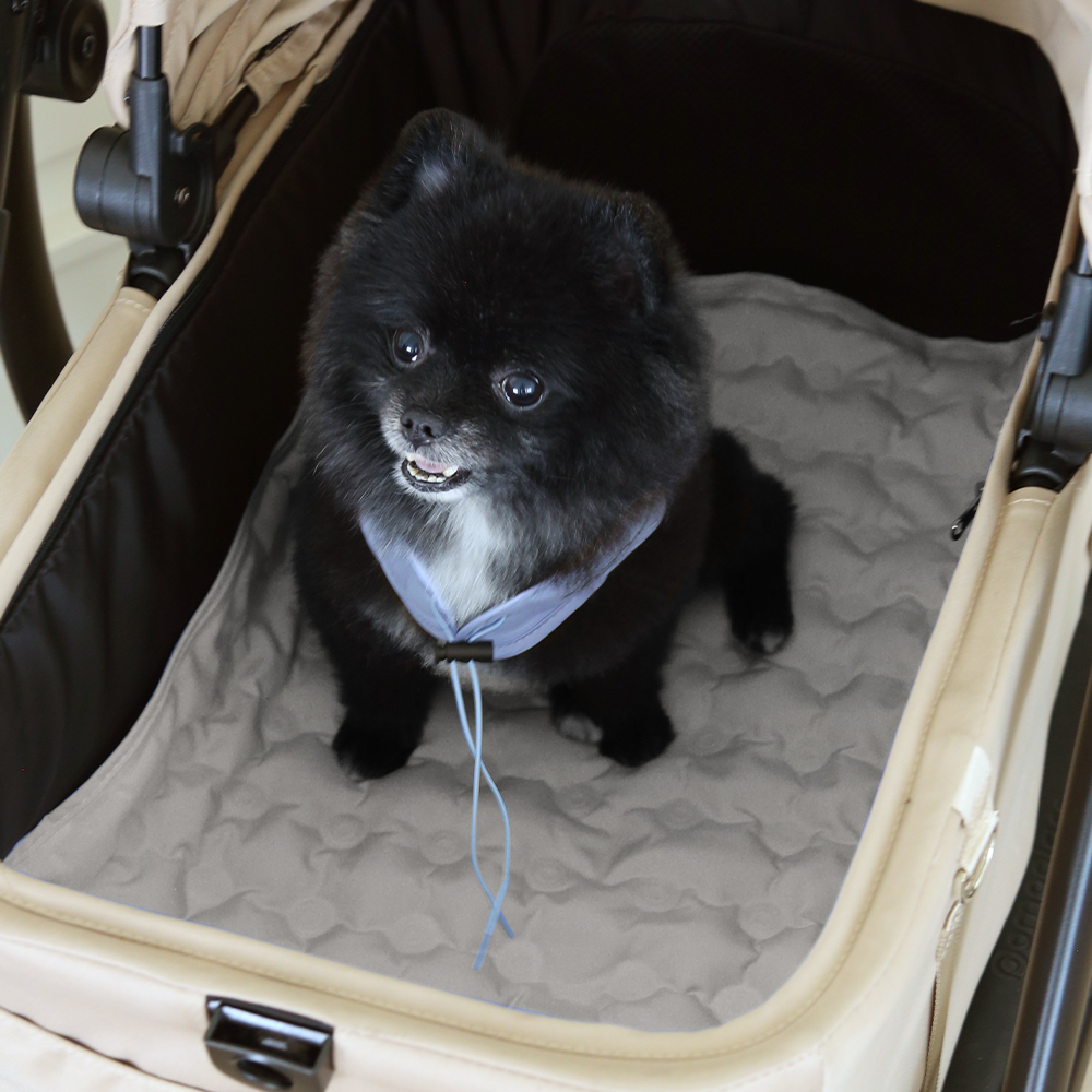 폼포라펫 강아지 쿨매트 냉감패드 고양이 여름방석 애견 유모차 쿨시트 개모차 대형견 - 상세 이미지 5
