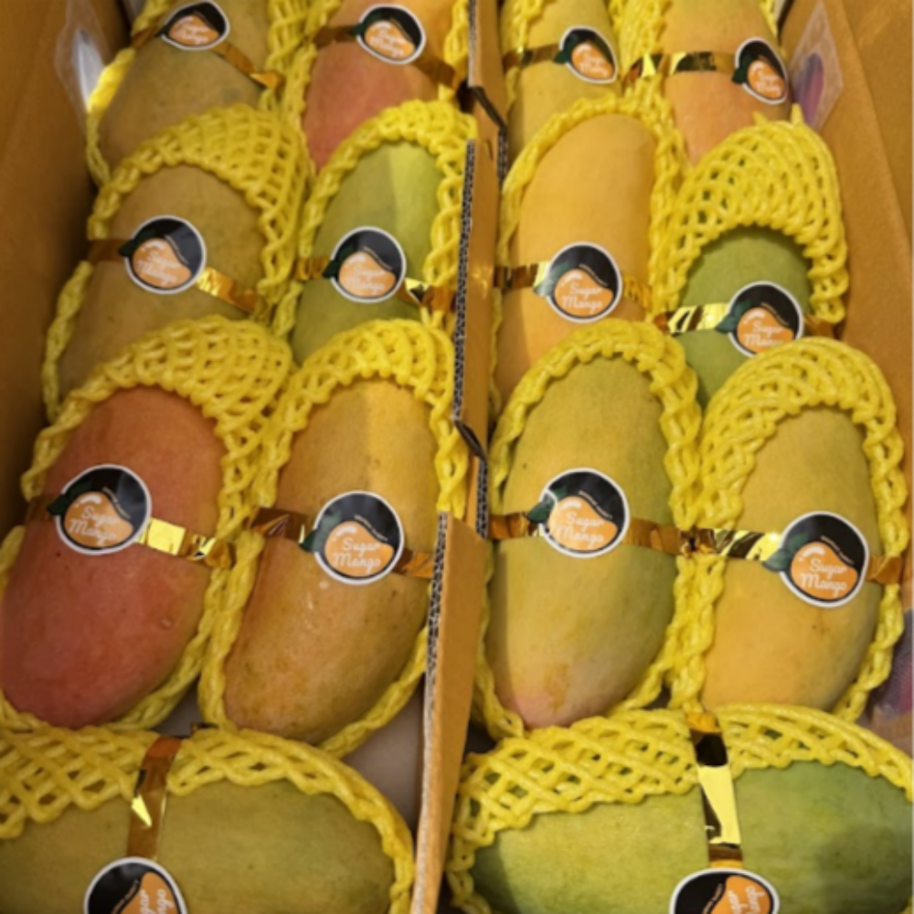 무지개망고 태국산 마하차녹 망고 고당도 수입 과일 4kg, 1개 - 상세 이미지 2