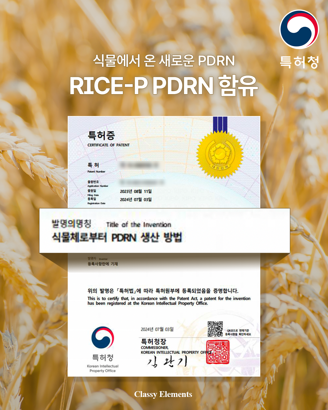 화잘먹 속건조 수분 크림 멜라논 egf pdrn 판테놀 시카 기미미백 홍조 율무 재생관리 — 여름철 피부, 건조함과 붉은기 동시에 잡는 법?