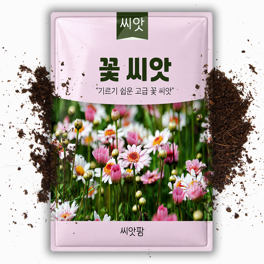 꽃씨 꽃씨앗 야생화 접시꽃 종자 키우기 - 상품 이미지