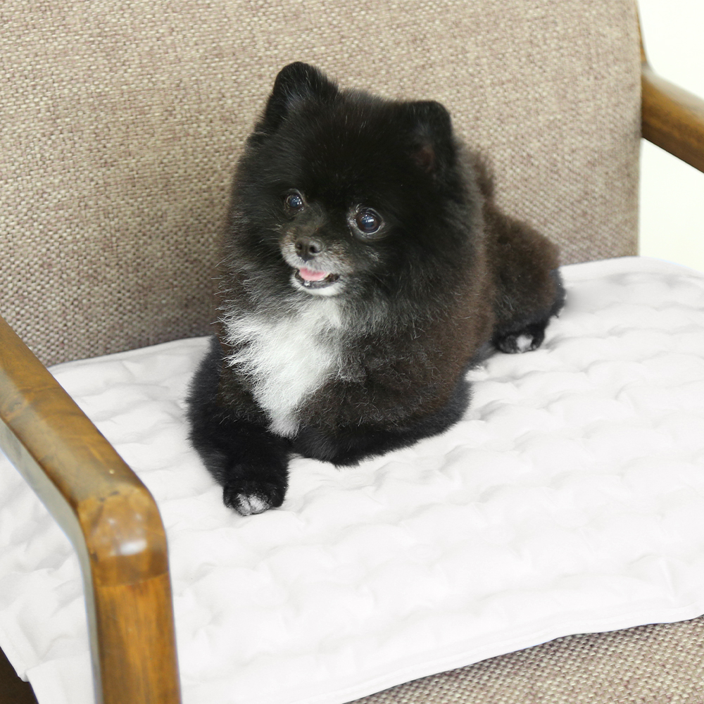 폼포라펫 강아지 쿨매트 냉감패드 고양이 여름방석 애견 유모차 쿨시트 개모차 대형견 이미지 8