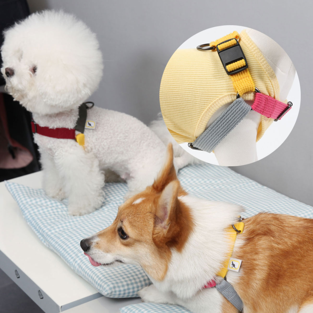 캔루 A형 자석버클 하네스 소형견 강아지 가슴줄 애견 커스텀 - 상품 이미지