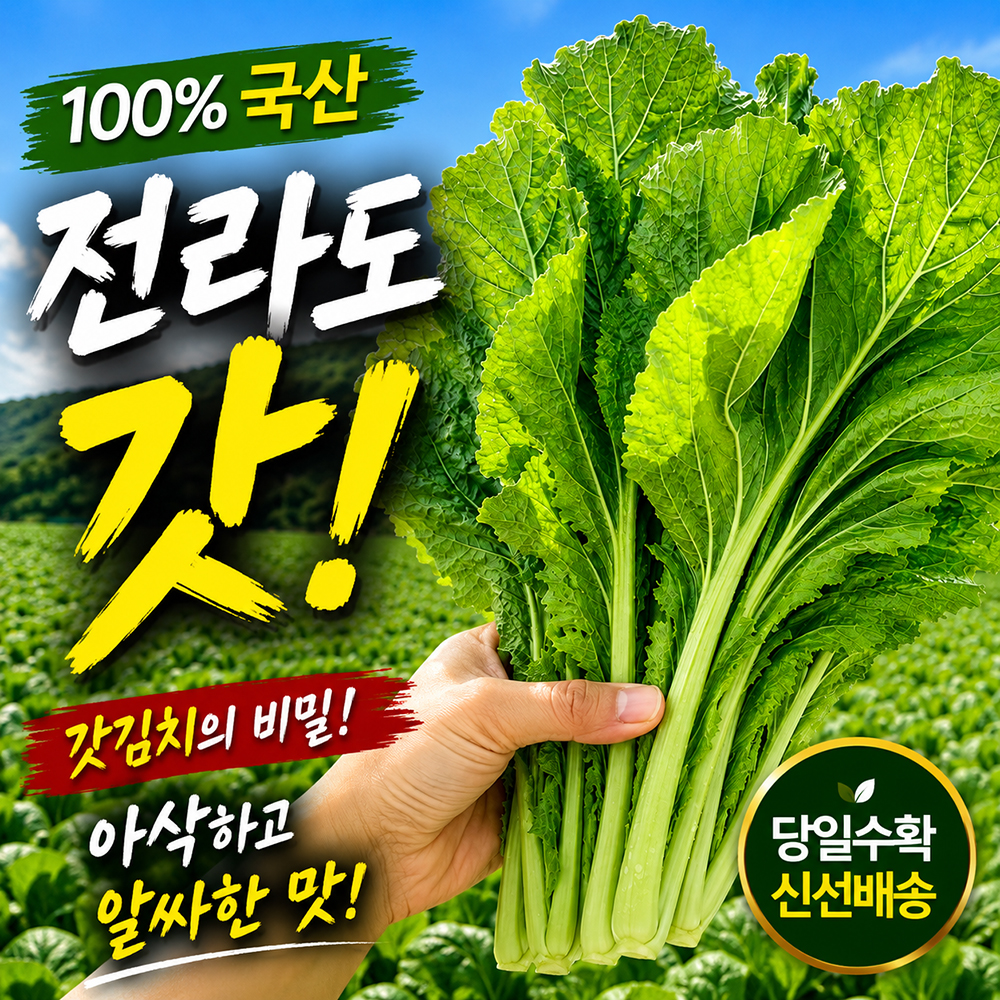 100년보다깊은 국내산 전라도 갓김치 2kg 3kg HACCP - 상세 이미지 4