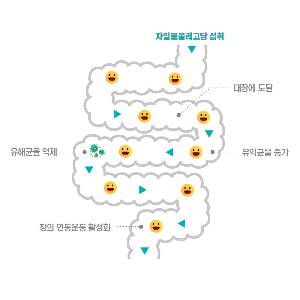 닥터포이 쇼킹쾌변 90정 1병 1개월분 식이섬유 프리바이오틱스 비 움 배 변 직빵 영양제 - 상세 이미지 3