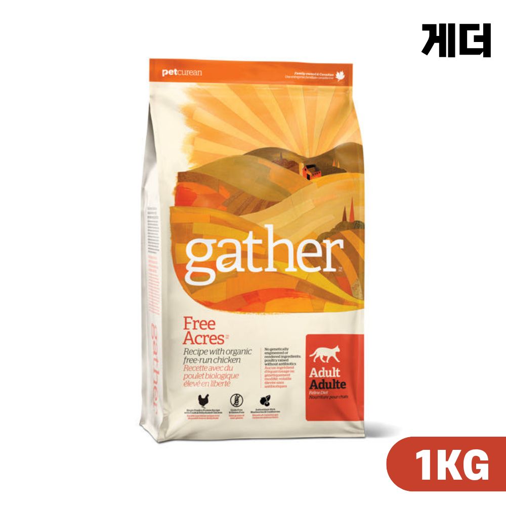 [빠른출고] 게더 프리 에이커 캣 고양이사료 치킨, 1kg, 1개 - 상품 이미지