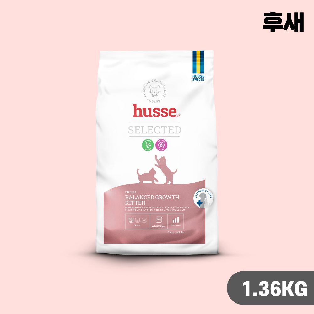[빠른출고] 후새 캣 고양이사료 키튼, 1.36kg, 1개 - 상품 이미지