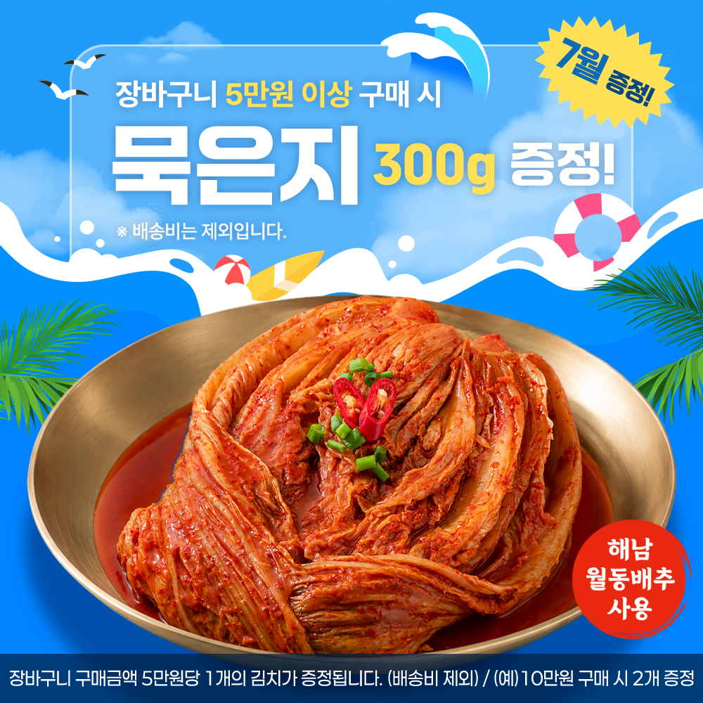 운림가 55년전통 국산 전라도 포기 김장 배추 김치 2kg 주문 상품 이미지