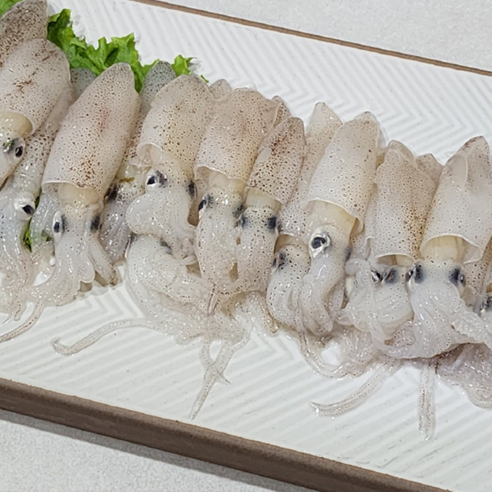 토해원 연안 호래기 500g 산지직송 생물 꼴뚜기 신선 제철 횟감용 숙회용 - 상세 이미지 4