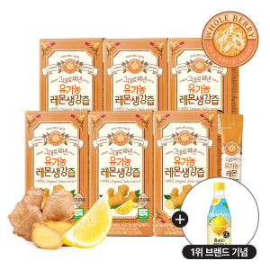 홀베리 그대로 짜낸 유기농 레몬생강즙 15g 14포 이미지