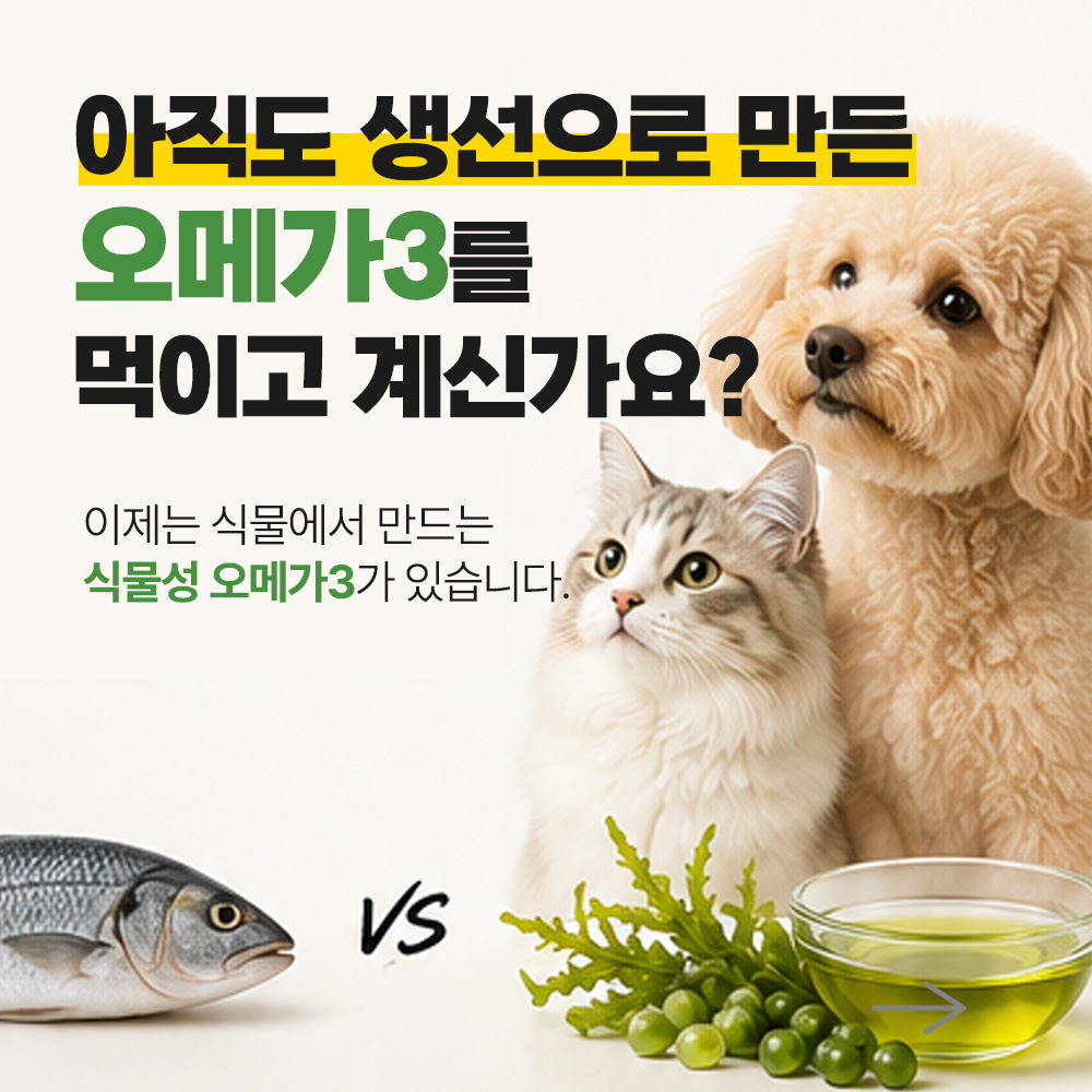 닥터뮨 식물성 오메가3 강아지 고양이 두뇌 심혈관 면역력 항산화 피부 - 상세 이미지 4