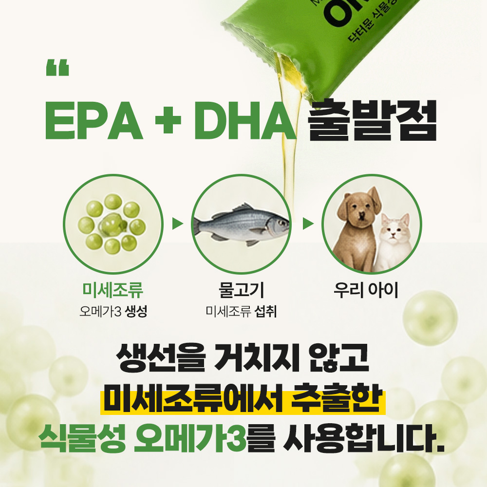 닥터뮨 식물성 오메가3 강아지 고양이 두뇌 심혈관 면역력 항산화 피부 이미지 6