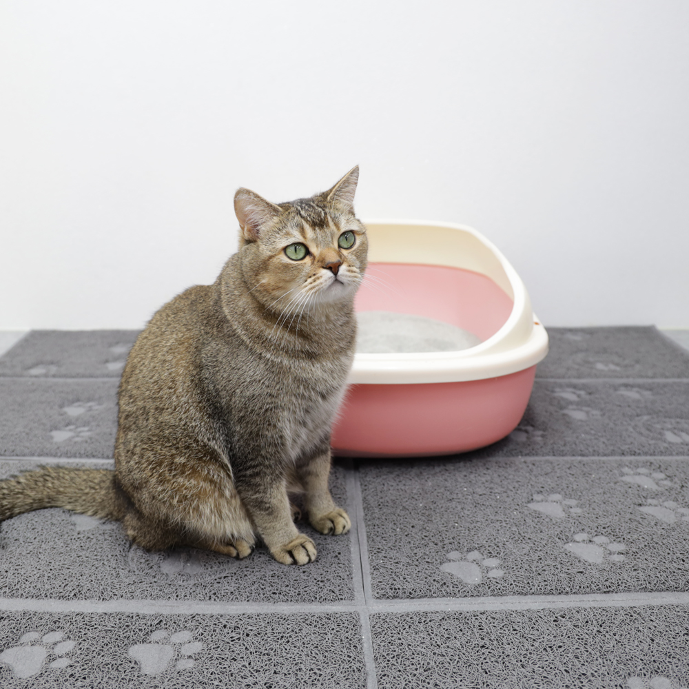 고양이 화장실 모래 매트 사막화방지 화장실 발판 - 상품 이미지