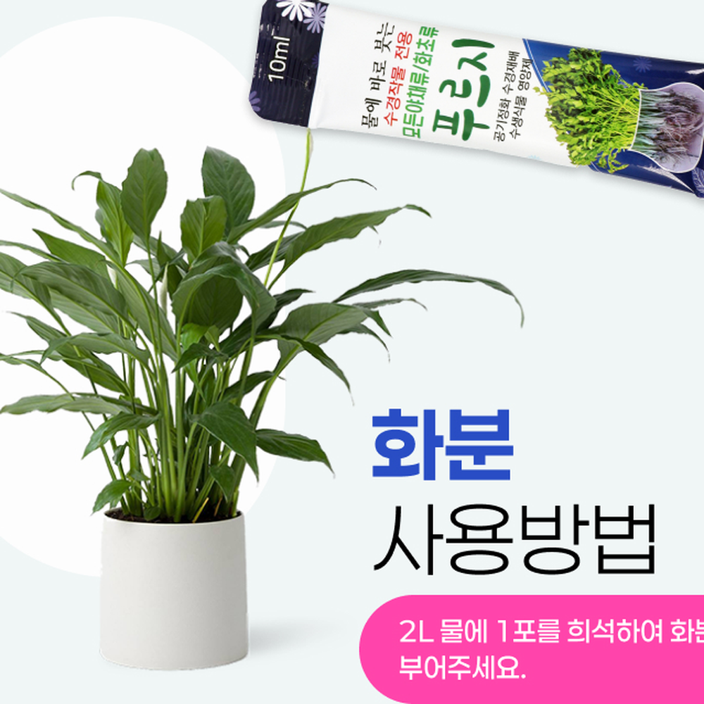 잎색케어수분공급수경영양제 간편사용 개별포장수경재배식물영양제 10p 10ml 1회분스틱 - 상세 이미지 5