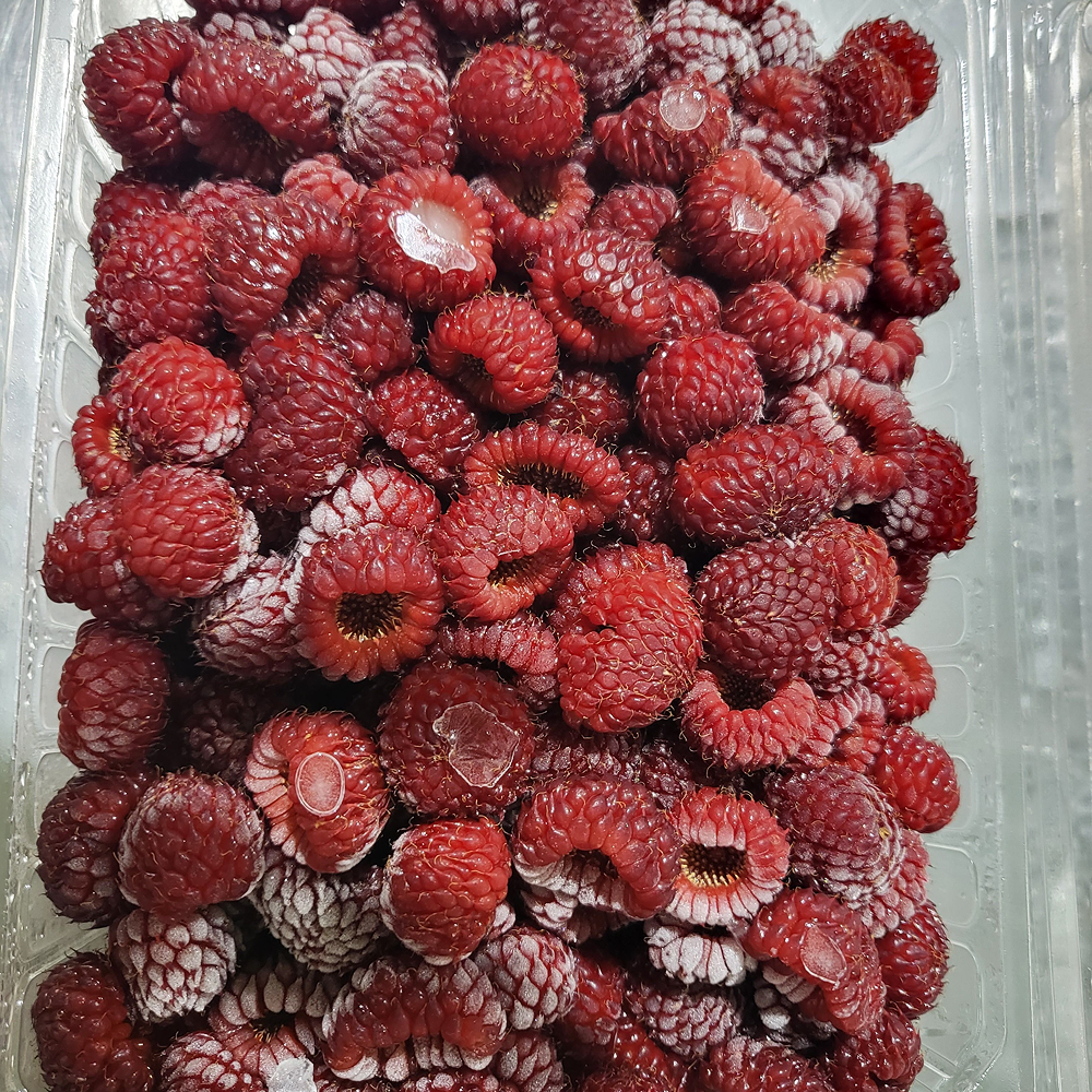 [금서율네] 2026년 냉동 산딸기 제철 급냉 1kg - 상세 이미지 3