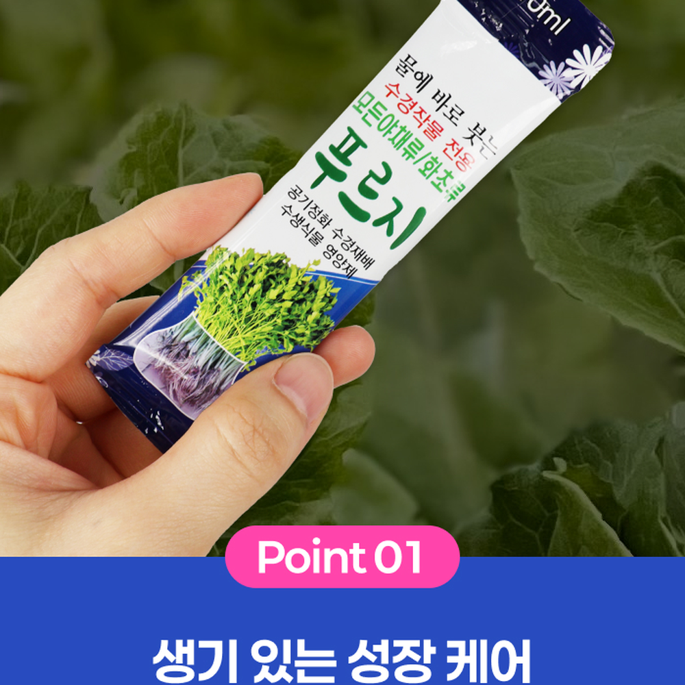 잎색케어수분공급수경영양제 간편사용 개별포장수경재배식물영양제 10p 10ml 1회분스틱 - 상세 이미지 3