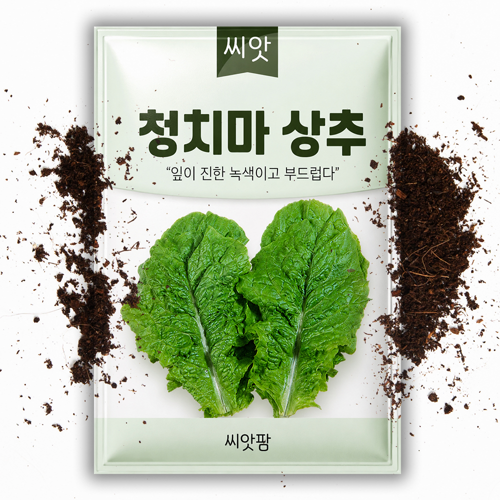 청치마 상추씨앗 3000립 상추씨 종자 - 상품 이미지