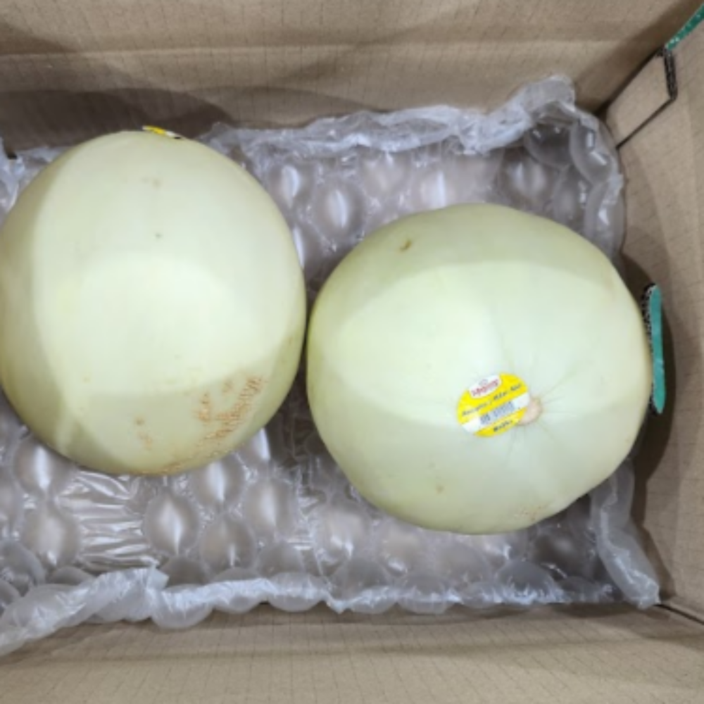 고당도 미국산 허니듀멜론 메론 멜론 여름 과일 2.2kg, 5개 - 상세 이미지 4