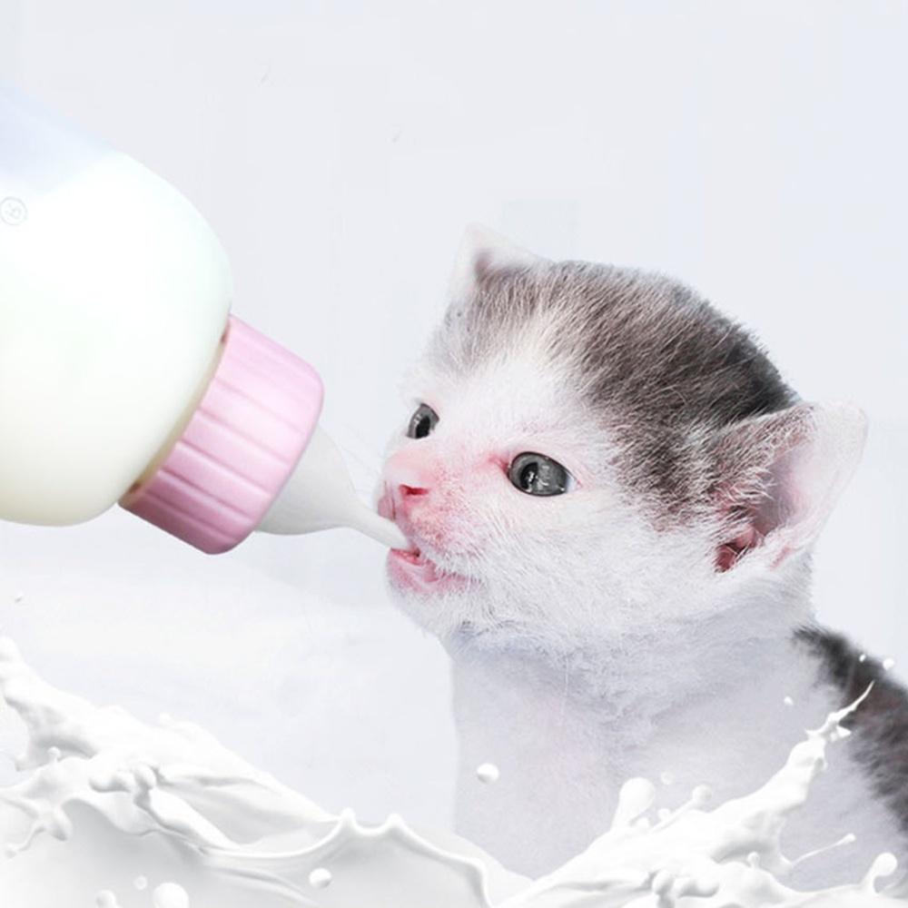 새끼고양이젖병 강아지젖병 애완동물 강아지우유병 80ml - 상품 이미지