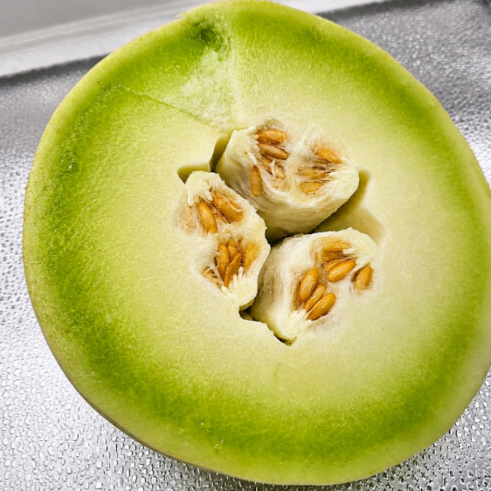 고당도 미국산 허니듀멜론 메론 멜론 여름 과일 2.2kg, 5개 - 상세 이미지 2