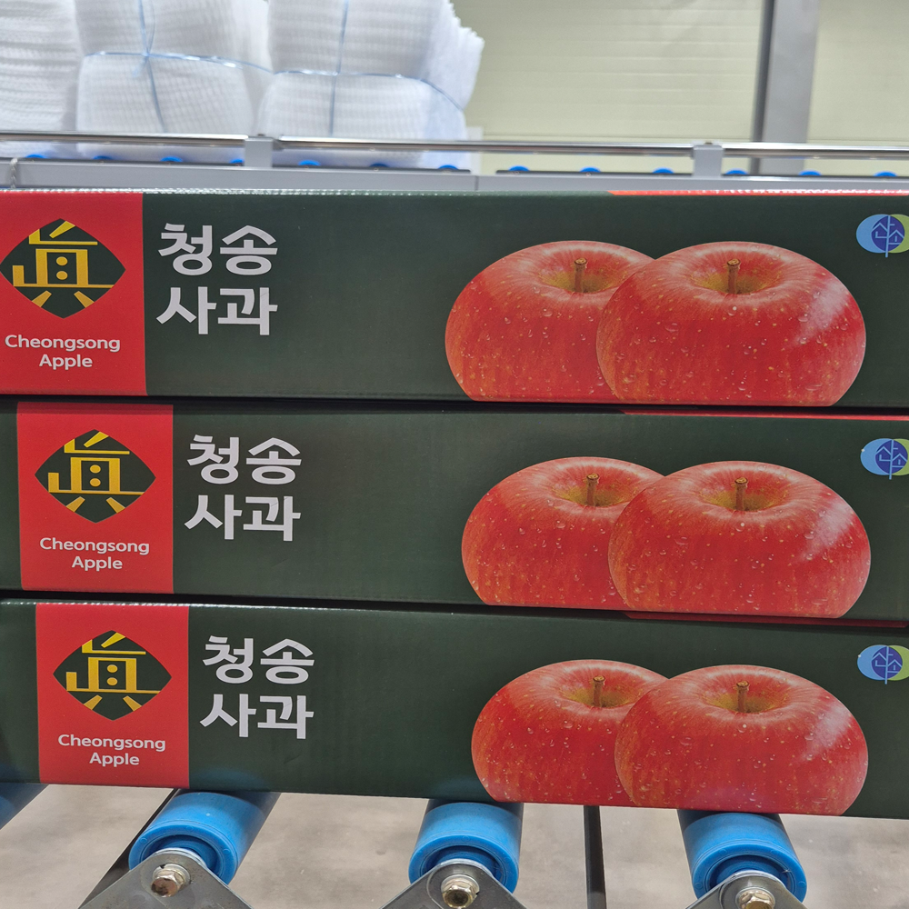 청송 사과즙 셀레늄특허 사과건강즙 100포, 1개 - 상세 이미지 3