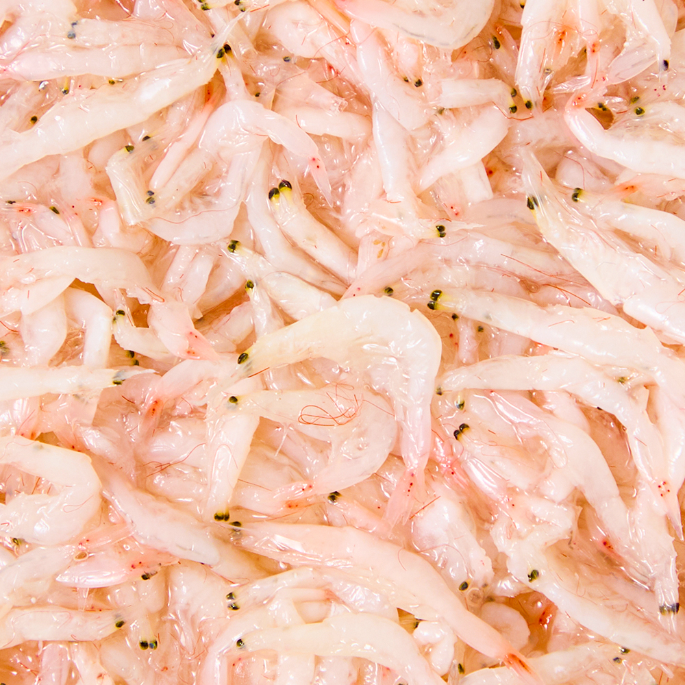 토해원 새우젓 추젓 500g 1kg 2kg 국내산 신안 천일염 김장용 숙성 젓갈 - 상품 이미지