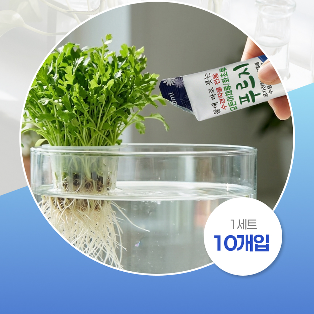 잎색케어수분공급수경영양제 간편사용 개별포장수경재배식물영양제 10p 10ml 1회분스틱 - 상세 이미지 4
