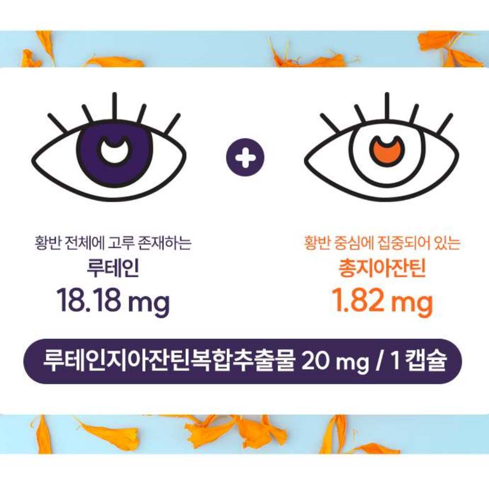 눈건강 루테인 지아잔틴 누테인 천연루테인 청소년 눈영양제 빌베리 고3 120캡슐, 1개 - 상세 이미지 3