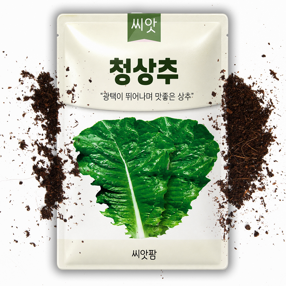 청치마 상추씨앗 2000립 텃밭 채소 쌈채소씨앗 종자 - 상품 이미지