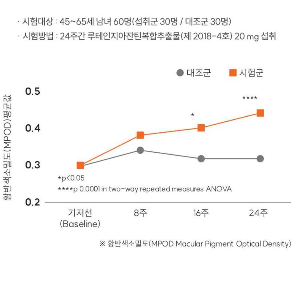 눈건강 루테인 지아잔틴 누테인 천연루테인 청소년 눈영양제 빌베리 고3 120캡슐, 1개 - 상세 이미지 4