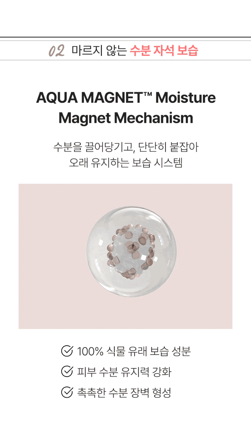 미라클뮤즈 스티바A수분톤업 선크림 PDRN EGF판테놀 기미화잘먹파데프리 50ml, 1개 판매처 상세 정보 이미지 2