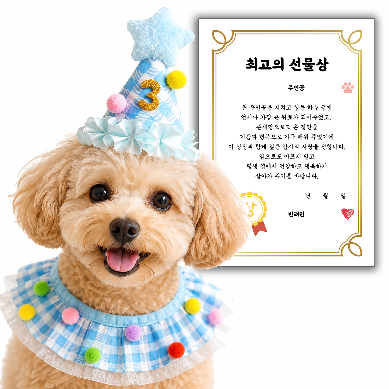 이온팩토리 강아지 생일 고양이 파티 모자 케이프 옷 숫자 상장 세트 용품 - 상품 이미지