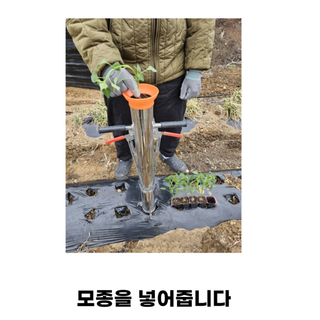 참깨 들깨모종심는기계 들깨씨앗파종기 다목적파종기 - 상세 이미지 2