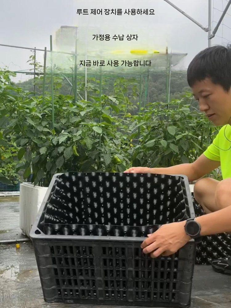 블루베리 묘목 화분 플라스틱 결실주 유실수 모종 20cmx25m - 상세 이미지 5
