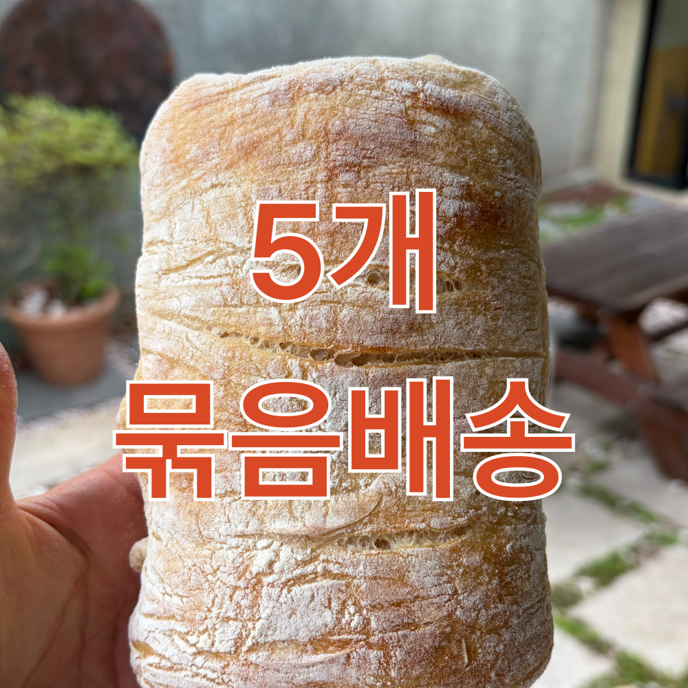 [칼리프] 플레인 치아바타 5개 - 상품 이미지