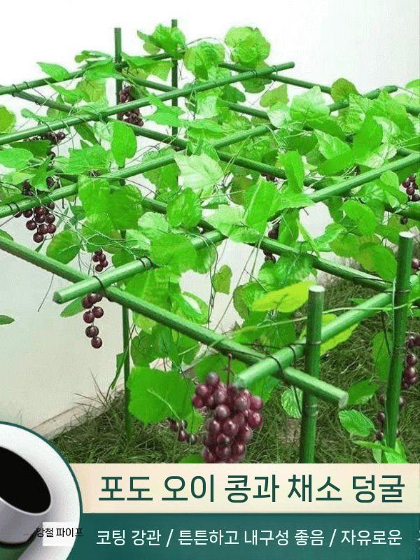 덩굴 지지대 호박 오이 지주대 장미 옥상 농업용 (06/23 시작) 0.9mx0.9mx0.9m 플라스틱 코팅 강관 - 상세 이미지 4