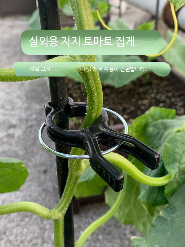 포도 유인집게 작물집게 자재 결속기 덩굴 - 상세 이미지 4